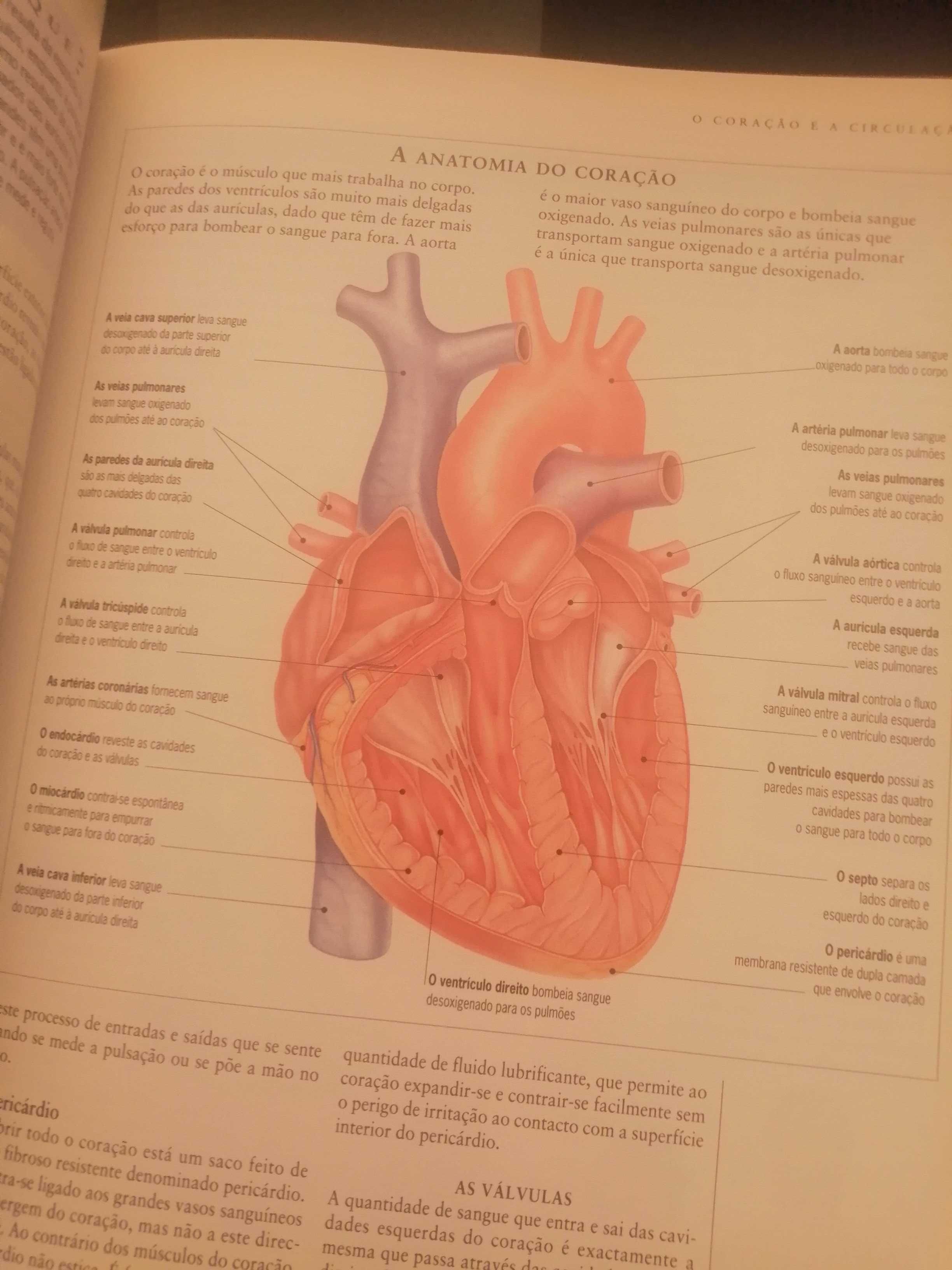 Livro Tratamentos Naturais, saúde e bem - estar, O Seu Coração