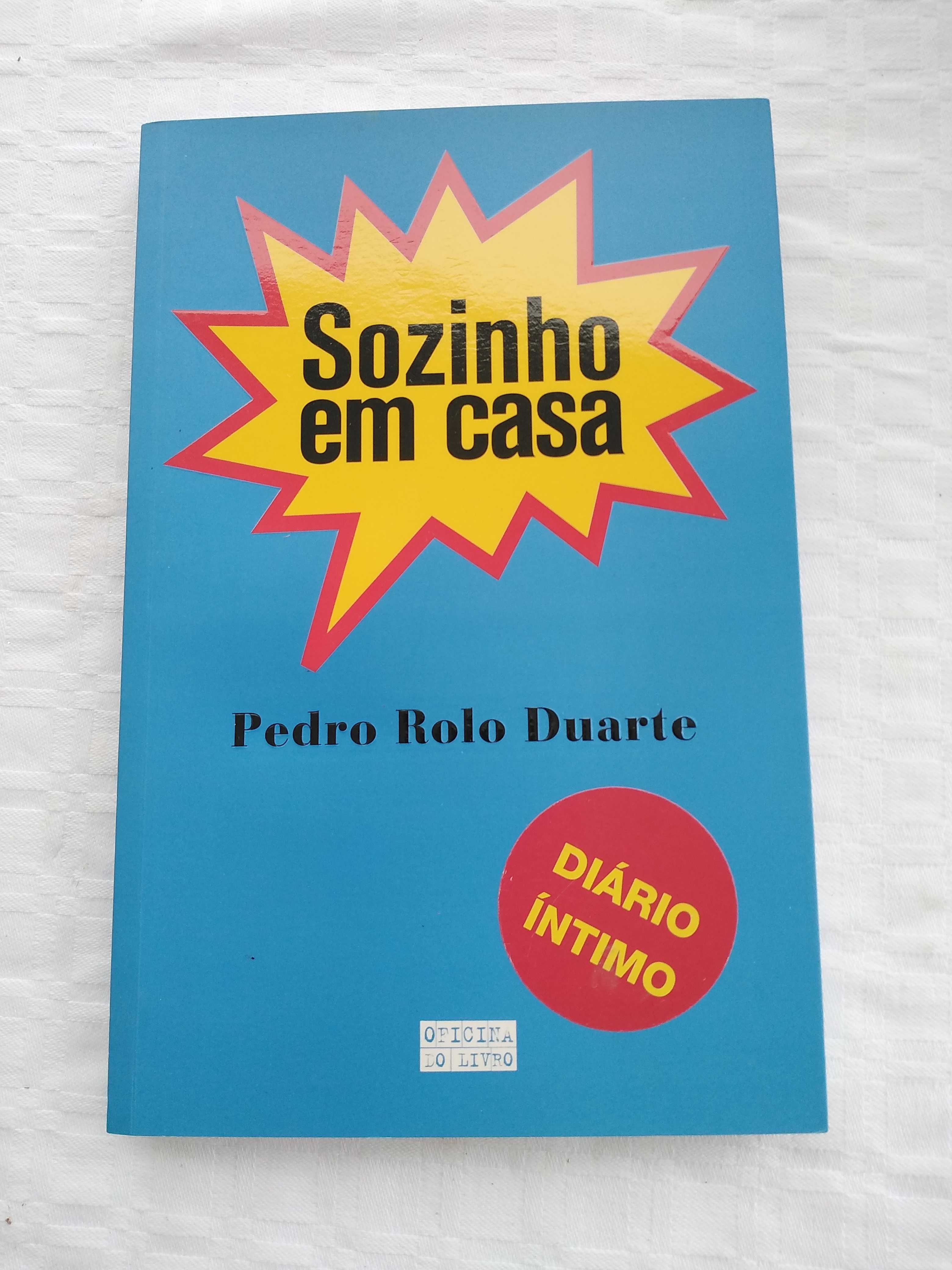 Livro Sozinho Em Casa