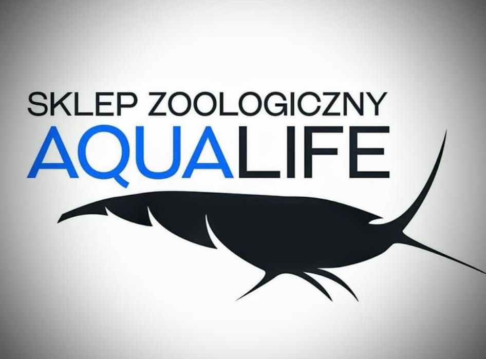 Szynszyle (para chłopców) Aqualife