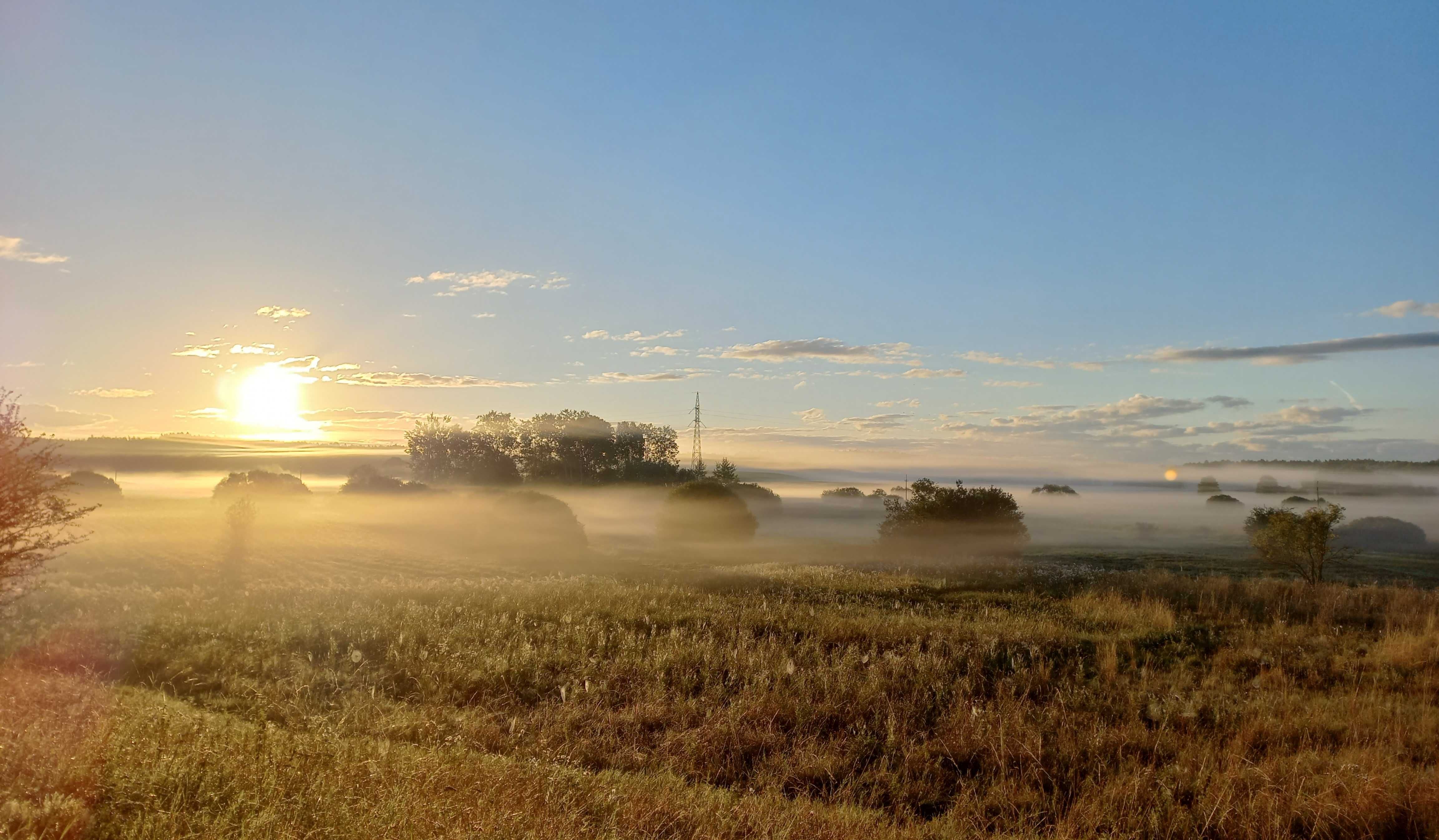 Drewniany domek do wynajęcia 700 m od Jeziora Siecino