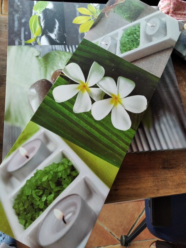 Quadros / Telas decorativas