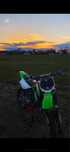 Kawasaki kx 85 vforce, hgs (cr yz rm sx)