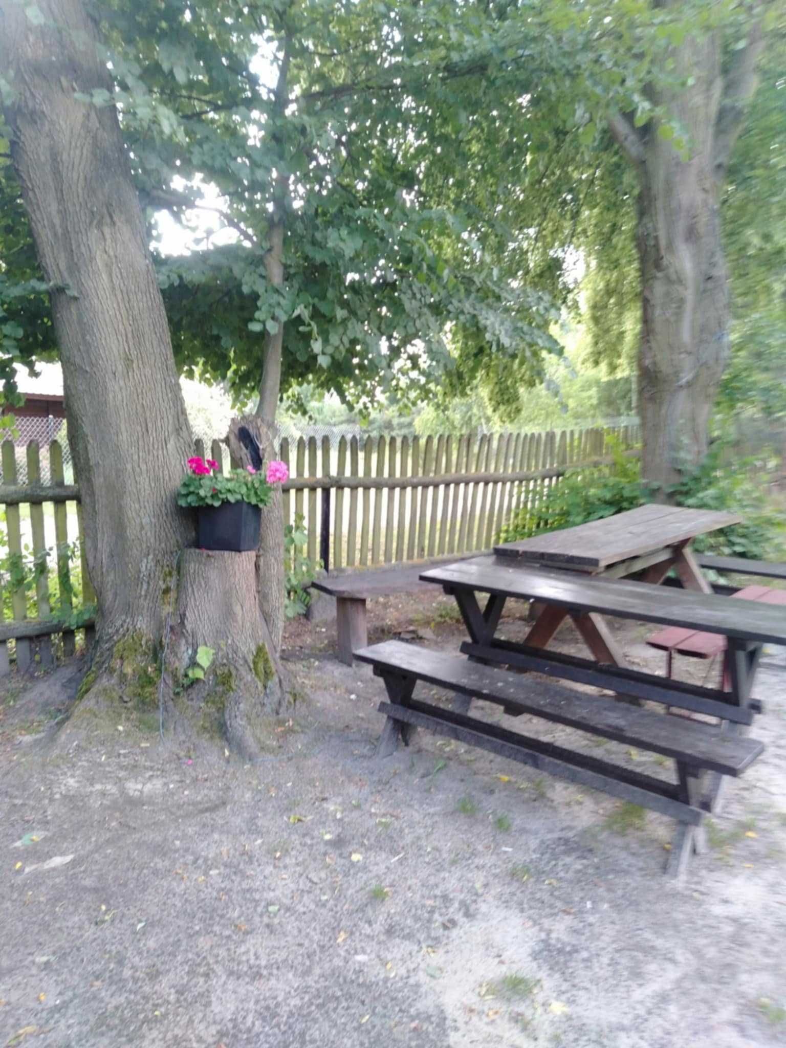 Agroturystyka Domki nad wodą