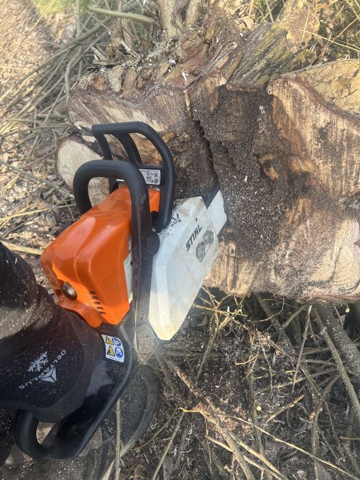 Чистка ділянок косіння трави зрізання дерев кущів