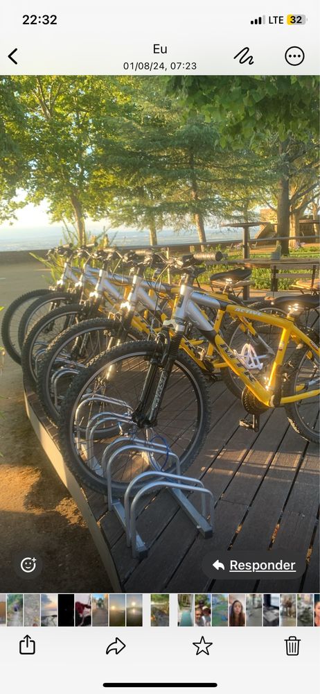 Lote bicicletas revisionadas