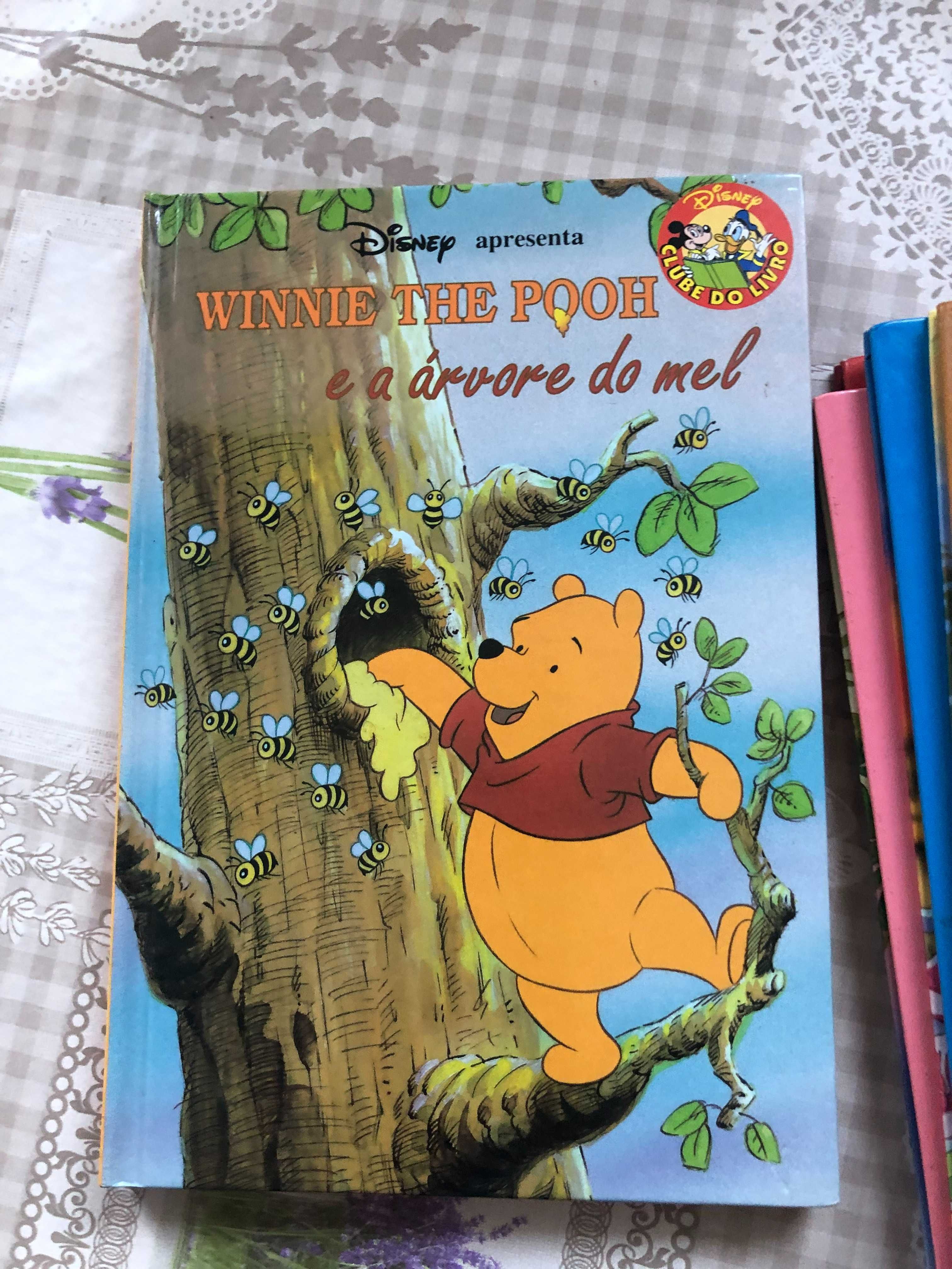 Seis Livros infantis usados (coleção Disney)