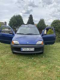 Seicento Young 1999r.