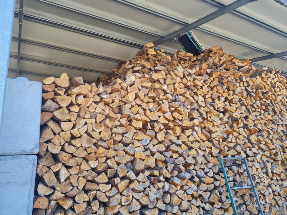 Lenha seca qualidade