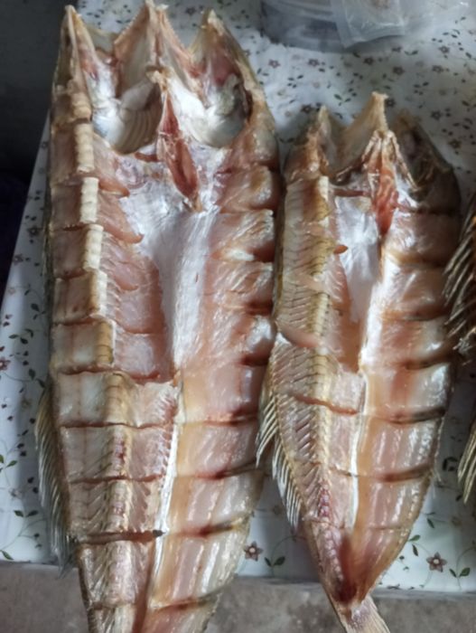 Вилково,Судак вяленый, копченый и другая рыба