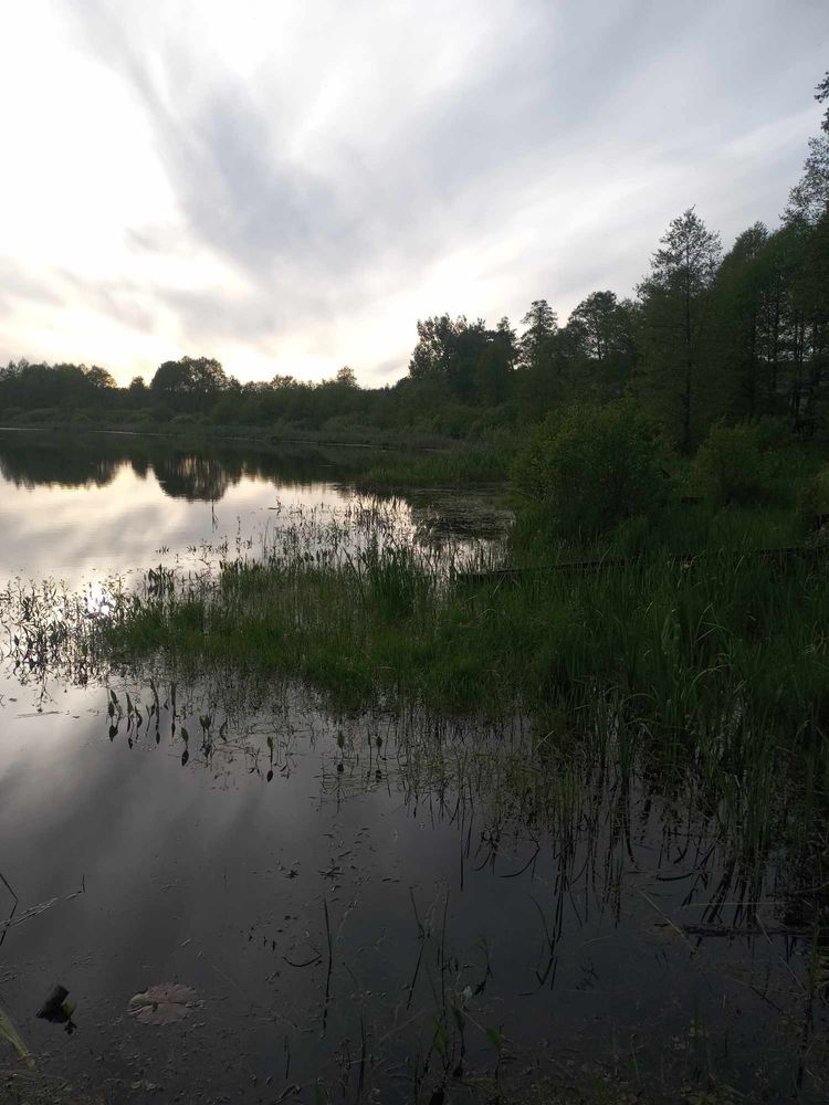 Sprzedam działkę, okolice Rozana. Przy Wodzie!  50zł/m2