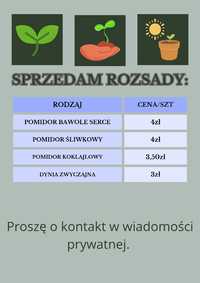 Sprzedam rozsady