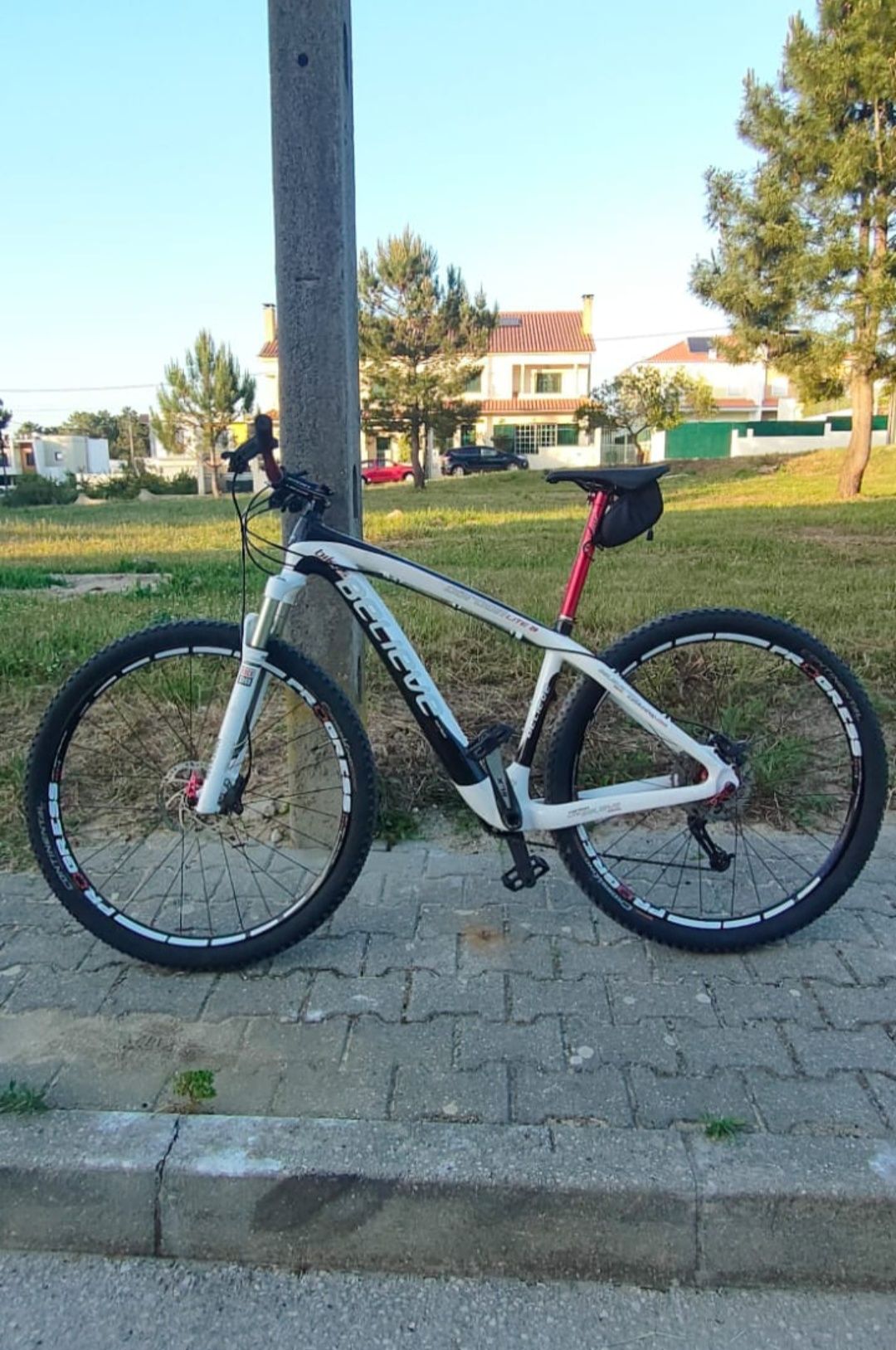 Bicicleta Btt Carbono Bmx Sunn24