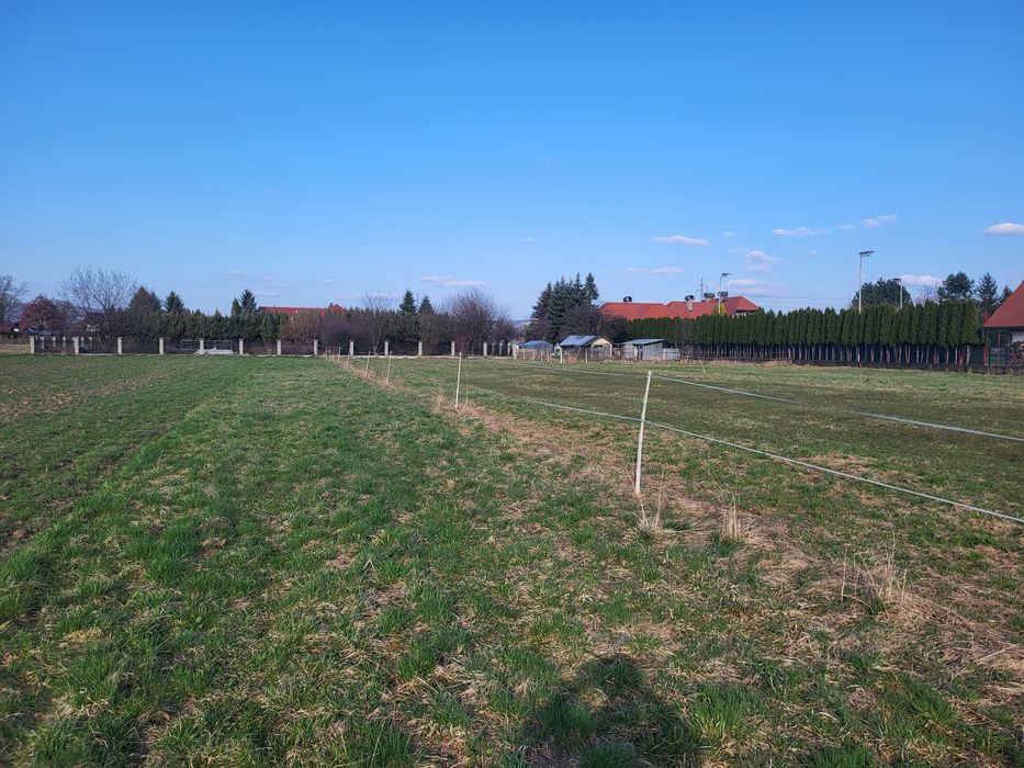 Działka 30 ar świniarsko/chełmiec osiedle gaj