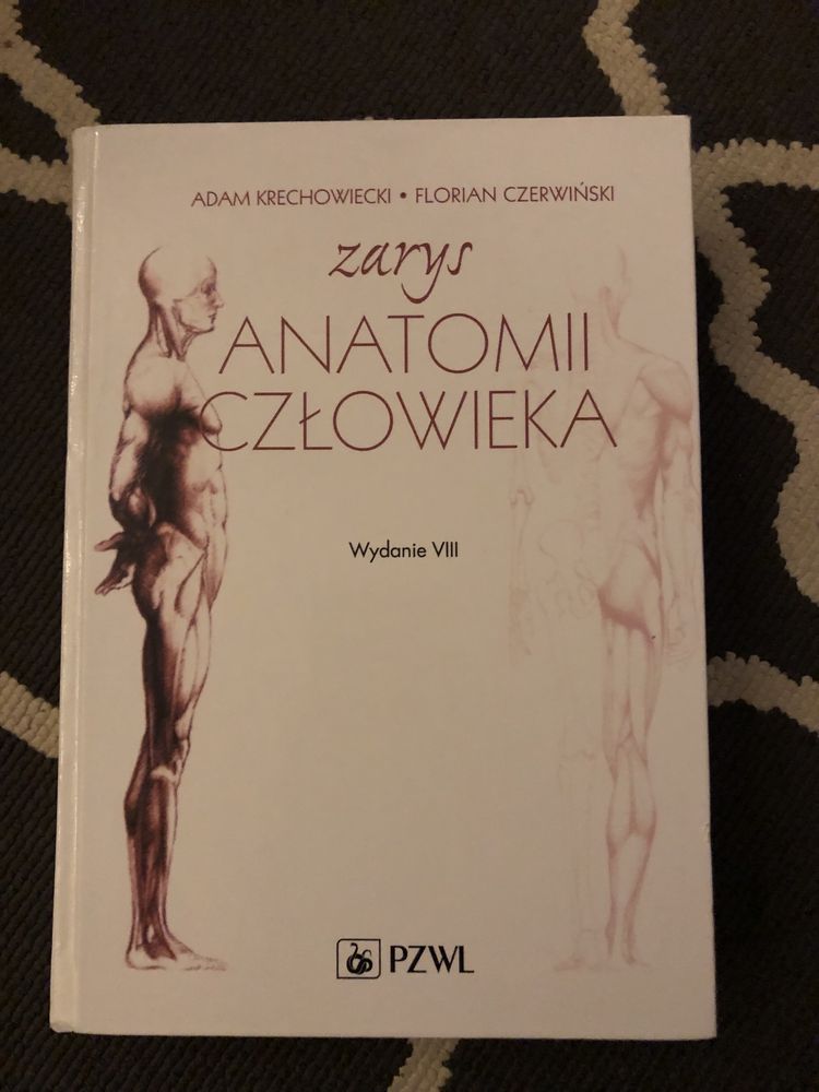 Zarys anatomii człowieka Krechowiecki