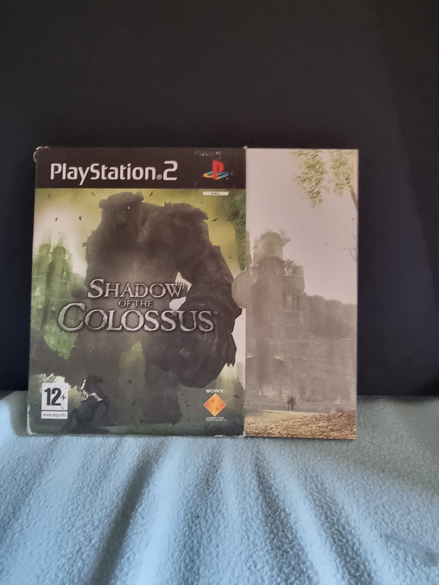 Shadow of the colossus ps2