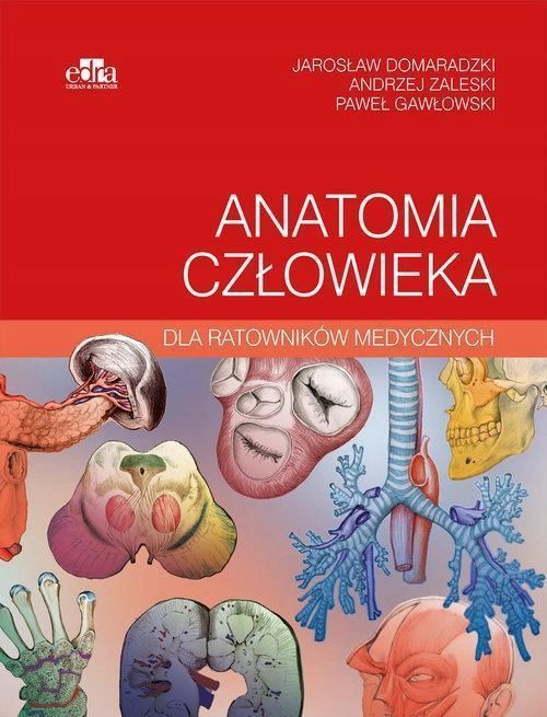 Anatomia Człowieka Dla Ratowników Medycznych 16627B03649Ks