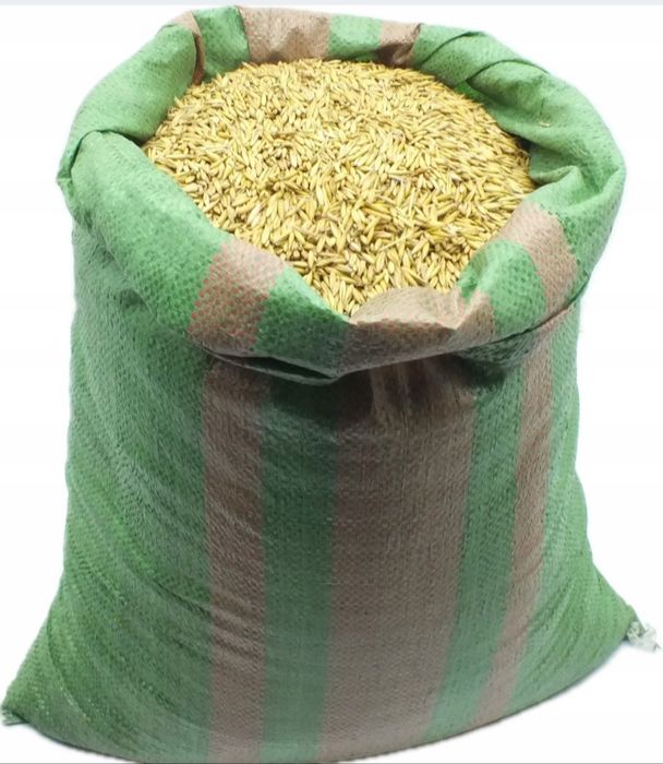 Sprzedam owies tegoroczny