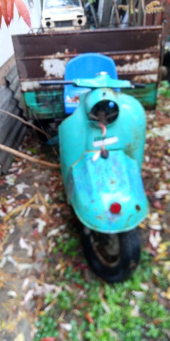 Продаи муравей вробочобустои