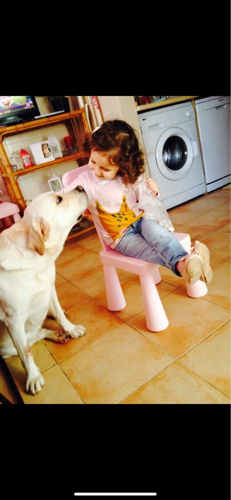 Pet sitter/ cuidadora de animais