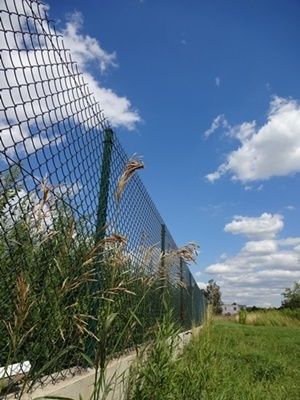 Siatka ogrodzeniowa zielona PCV 3.1mm 150cm ogrodzenie siatkowe 1,5m