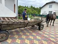 Продається віз (фіра)