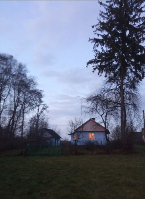 Продам будинок в мальовничому селі      ‼️ СРОЧНО ‼️