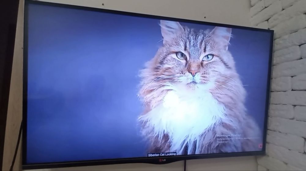 Телевізор LG 42LA690V