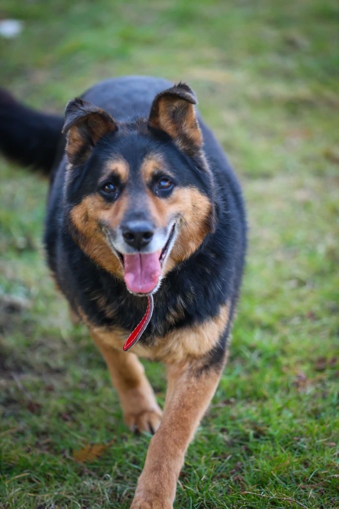 Atos do adopcji!