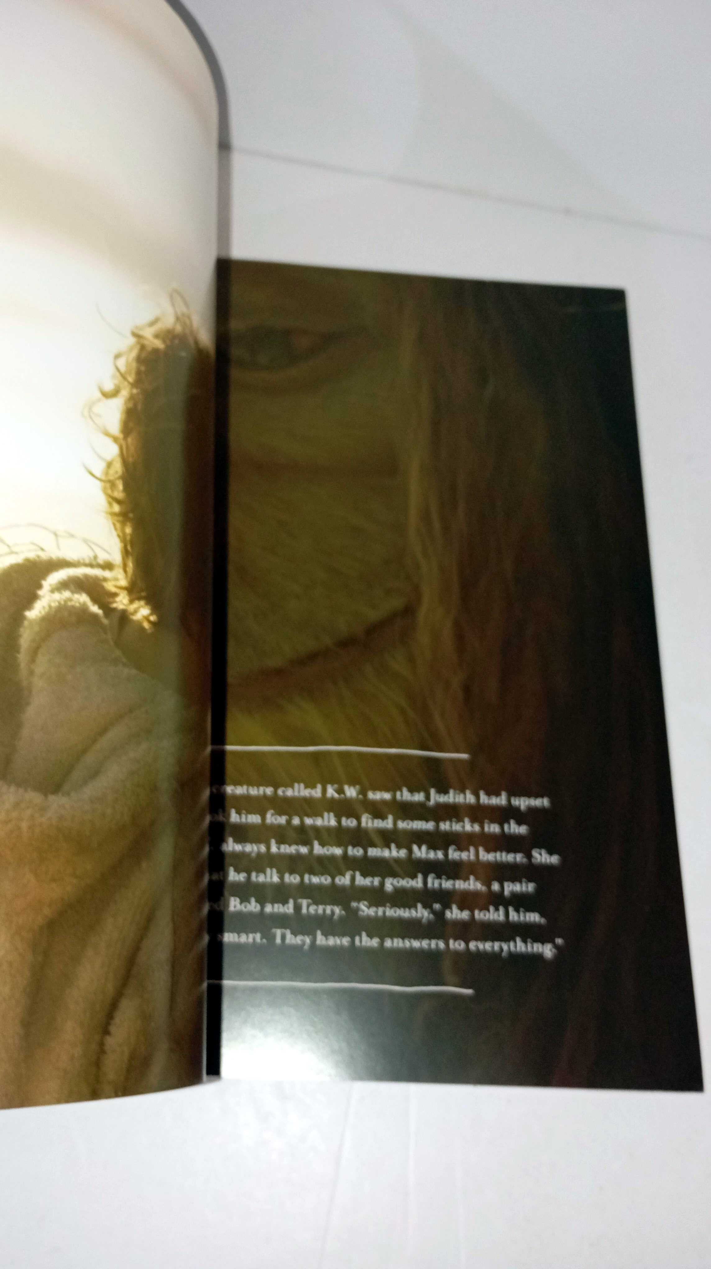 Where the wild things are (livro em Inglês)
