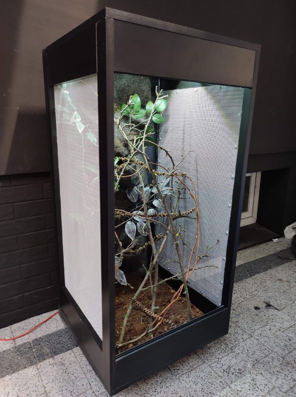 Terrarium kameleon jaszczurka PETMARKET