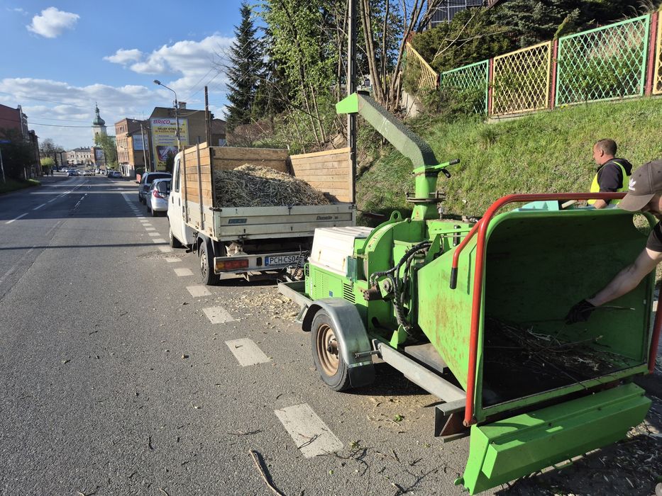 Wycinka drzew / Usługi rębakiem / Pielęgnacja zieleni