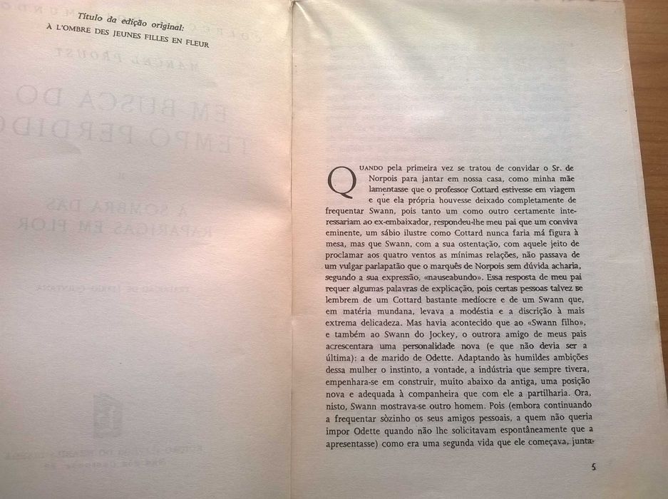 Em Busca do Tempo Perdido (Livro 2) - Marcel Proust