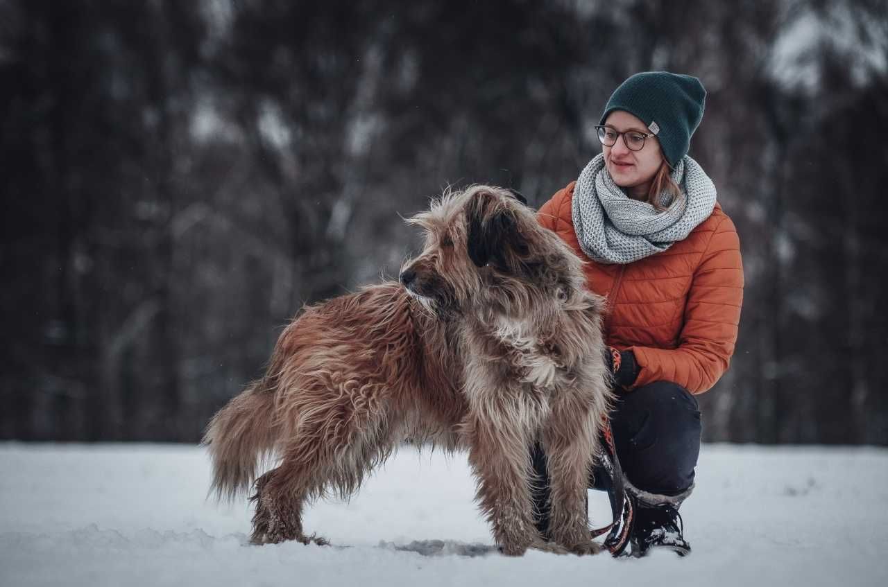 Hogan - kosmate cudo wypatruje kochającego domu!