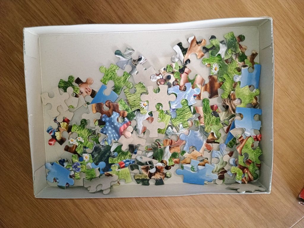 Puzzle konie 6+ castorland