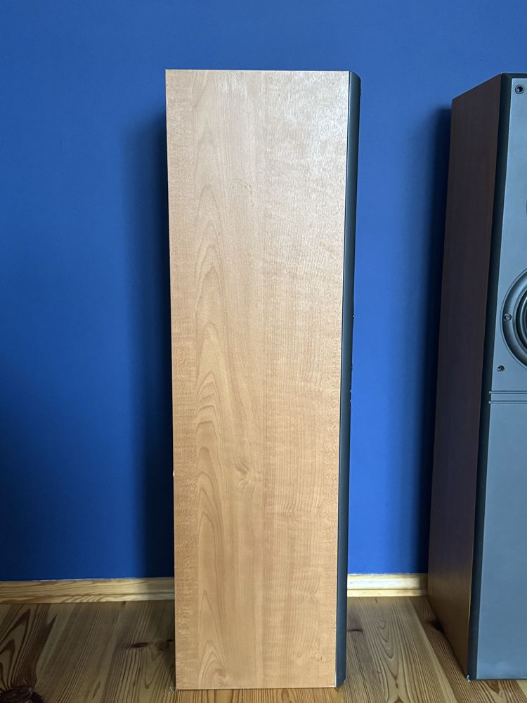 Brytyjskie kolumny JPW ML 910
