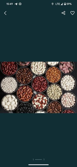 Продам квасолю ціна договірна