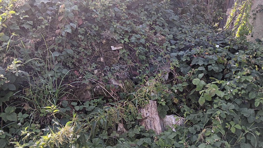 Kamień żółty, gruz.