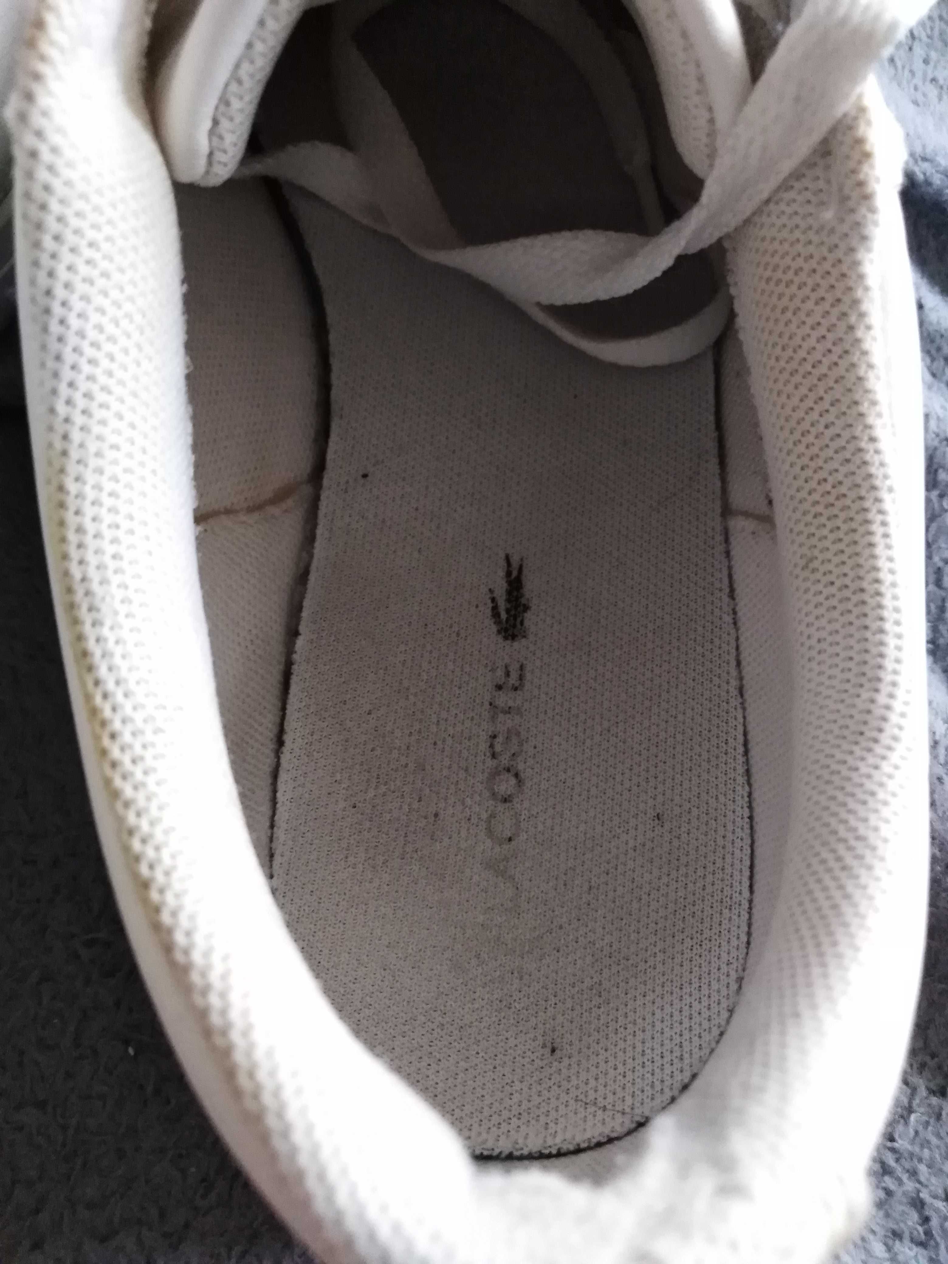 LACOSTE snickersy damskie. 36.