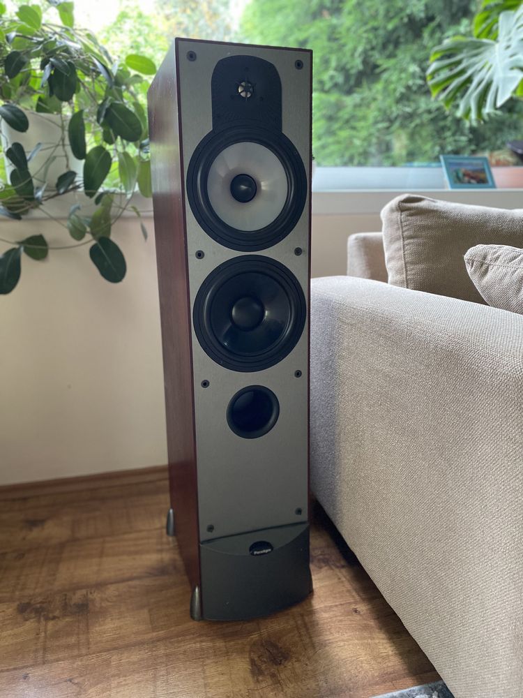 Paradigm monitor 9 v.4