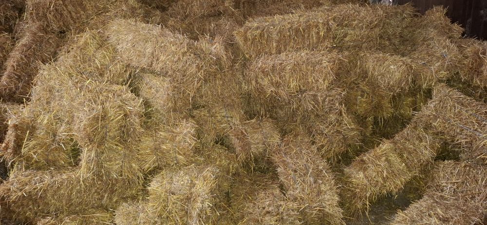 Солома вівсяна пшенична, сіно люцерна