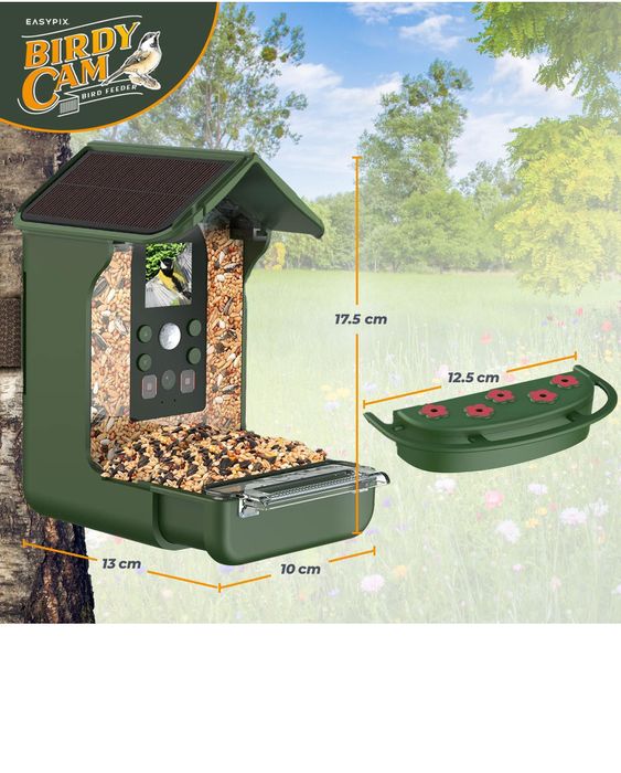 Comedouro para pássaros com câmera e painel solar