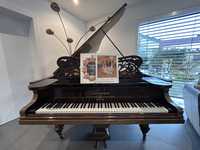 Fortepian C.Bechstein 211  Nr. 9414