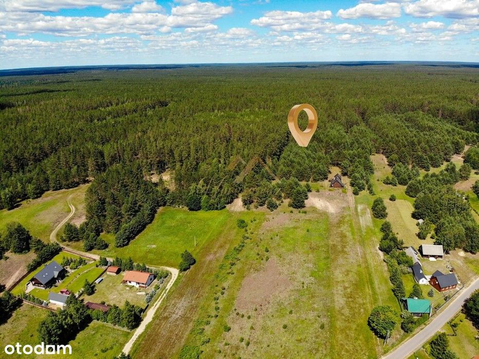 Grunt 6,59 ha z lasem | Rygol- pow. augustowski