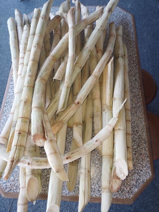 Vendo Cana de açúcar