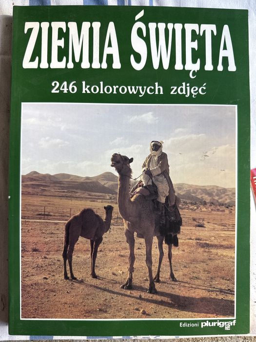 Ziemia święta Luigi Lombardi