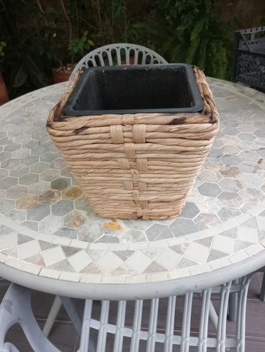 Vaso verga para planta