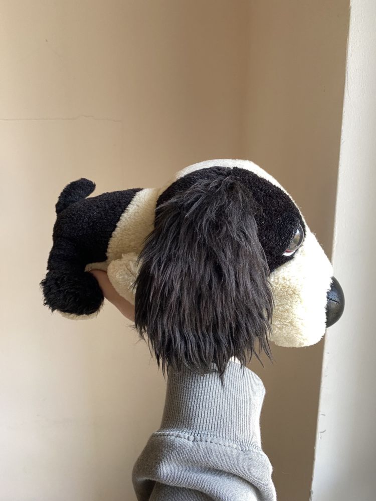 The dog, pies, maskotka, cocker spaniel