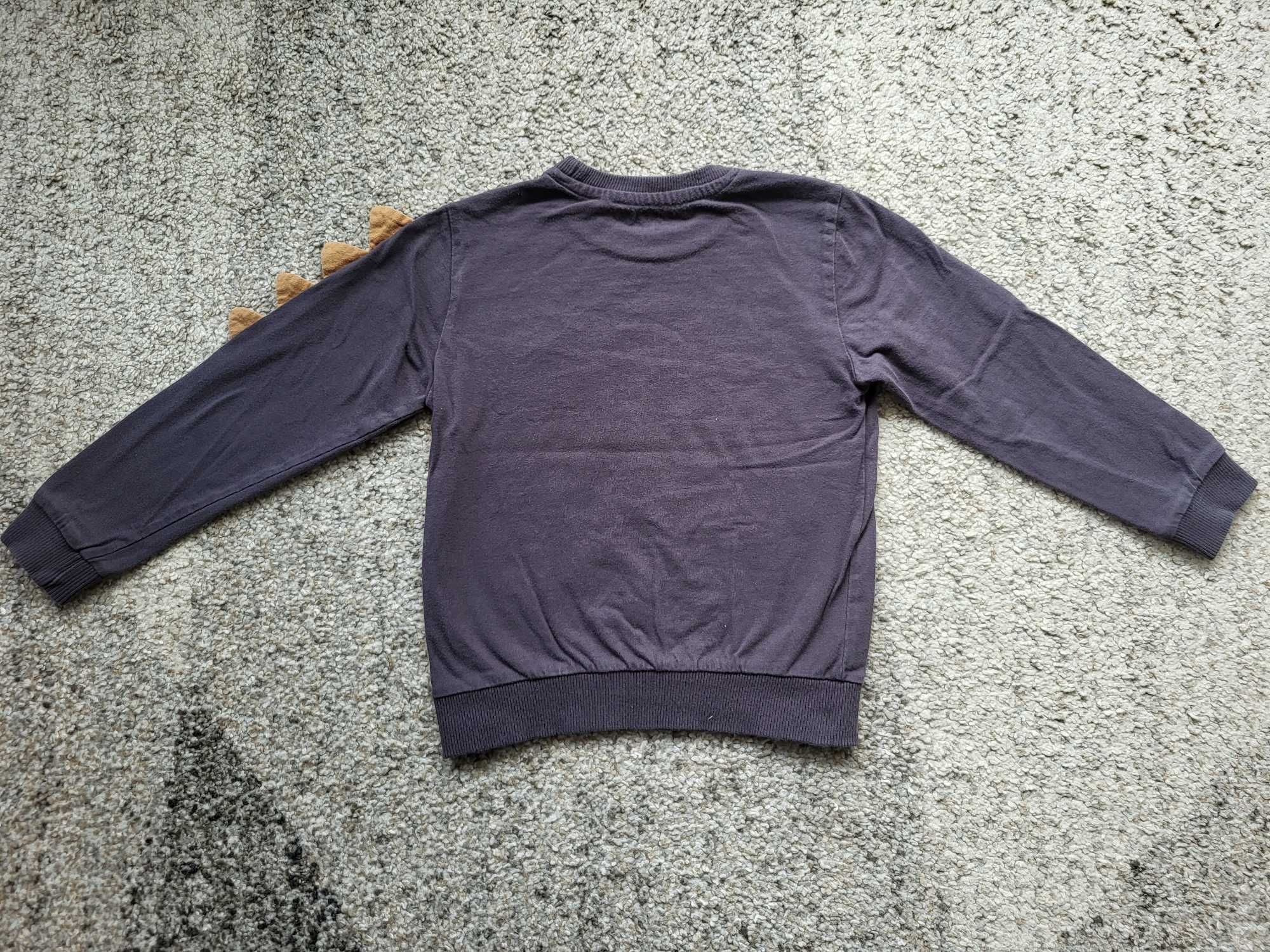 Koszulka Bluza dinozaur roz. 98-104