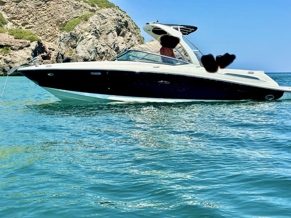 Sea ray 250 slx 496 dts