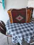 Concertina serenata